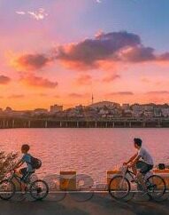 果冻传媒精选麻豆 台湾-探索果冻传媒精选麻豆，台湾的创意与魅力