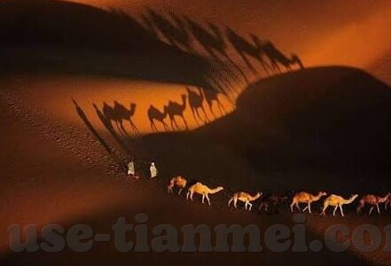 人妻有码-探索人妻角色的多维度魅力，从人妻有码的视角出发