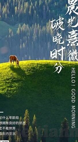 糖心vlog视频APP-当糖心Vlog视频APP成为日常记录的新潮流