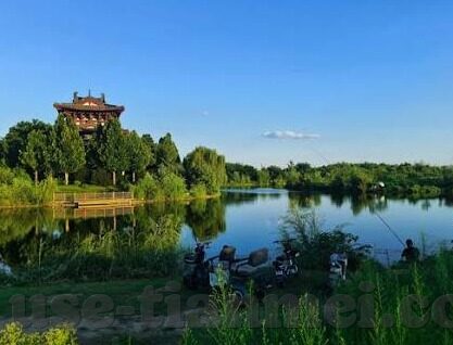 亚洲日韩高清av不卡-探索亚洲日韩高清AV的流畅体验，技术与文化的交融